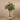 Trees-Artificial Olive Tree 200cm-Bloomr