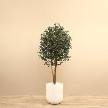 Trees-Artificial Olive Tree 165cm-Bloomr