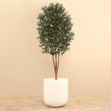 Trees-Artificial Olive Tree <br> 210cm-Bloomr