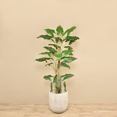 Trees-Artificial Philodendron Tree <br> 210cm-Bloomr