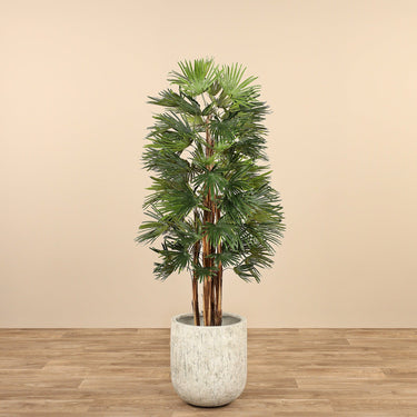 Trees-Artificial Raphis Palm 150cm-Bloomr