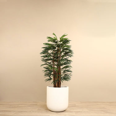 Trees-Artificial Raphis Palm 150cm-Bloomr