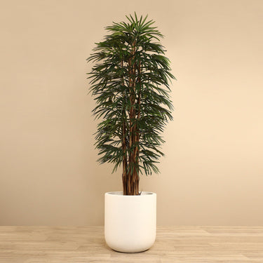 Trees-Artificial Raphis Palm 210cm-Bloomr