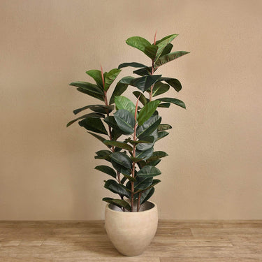 Trees-Artificial Rubber Plant <br> 160cm-Bloomr