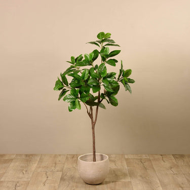 Trees-Artificial Rubber Tree <br> 150cm-Bloomr