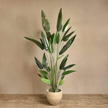 Trees-Artificial Strelitzia 210cm-Bloomr