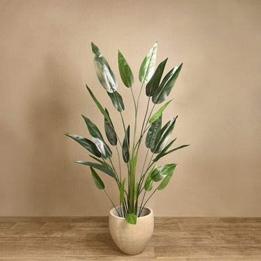 Trees-Artificial Strelitzia 180cm-Bloomr