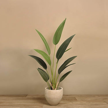 Trees-Artificial Strelitzia Palm 150cm-Bloomr
