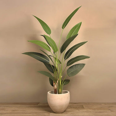 Trees-Artificial Strelitzia Palm <br> 185cm (Discontinued)-Bloomr