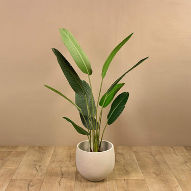 Trees-Artificial Strelitzia Palm 160cm-Bloomr