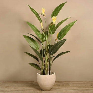 Trees-Artificial Strelitzia Palm 195cm-Bloomr