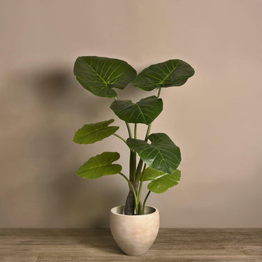 Trees-Artificial Taro Tree 105cm-Bloomr