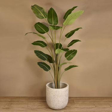 Trees-Artificial Travelers Palm Tree 240cm-Bloomr
