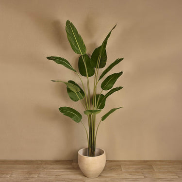Trees-Artificial Travelers Palm Tree 210cm-Bloomr