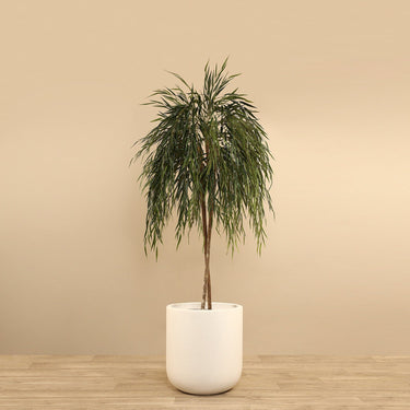 Trees-Artificial Willow Tree 180cm-Bloomr