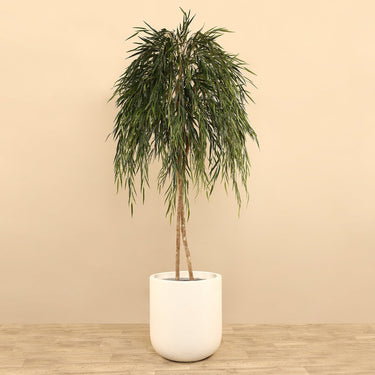 Trees-Artificial Willow Tree <br> 210cm-Bloomr
