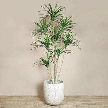 Trees-Artificial Yucca Plant <br> 240cm-Bloomr
