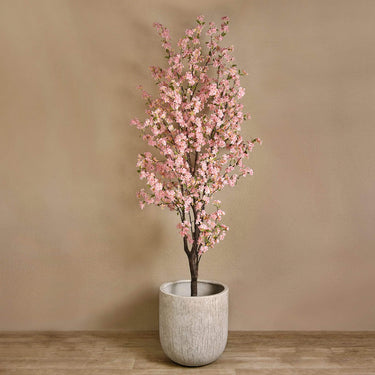 Trees-Cherry Blossom Tree 240cm-Bloomr