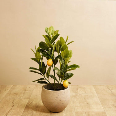 Trees-Artificial Lemon Tree 60cm-Bloomr