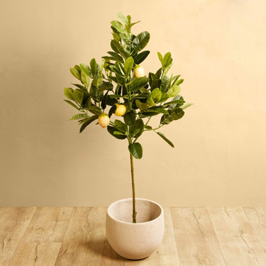 Trees-Artificial Lemon Tree <br> 120cm-Bloomr