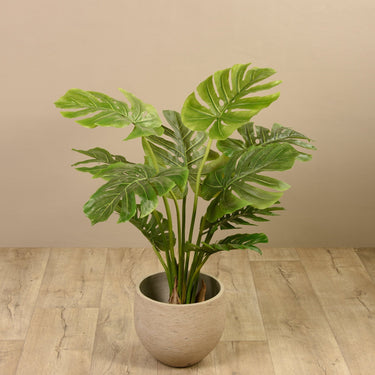 Trees-Artificial Monstera Tree <br> 100cm-Bloomr