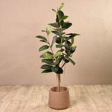 Trees-Artificial Rubber Plant 150cm-Bloomr