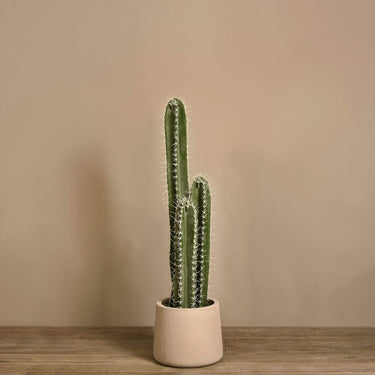 Trees-Artificial Cactus Plant 85cm|105cm|155cm-Bloomr