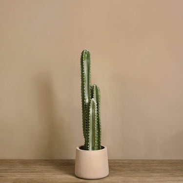 Trees-Artificial Cactus Plant 85cm|105cm|155cm-Bloomr
