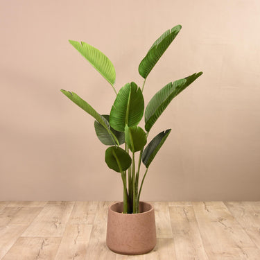 Trees-Artificial Strelitzia Tree 155cm-Bloomr