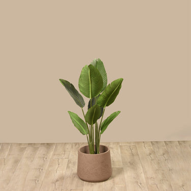 Trees-Artificial Strelitzia Tree 120cm-Bloomr