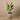 Trees-Artificial Strelitzia Tree 120cm-Bloomr