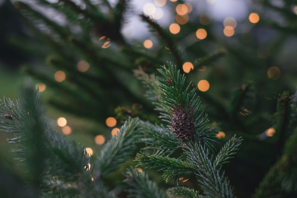 Luxury Faux Holiday Plants and Flowers