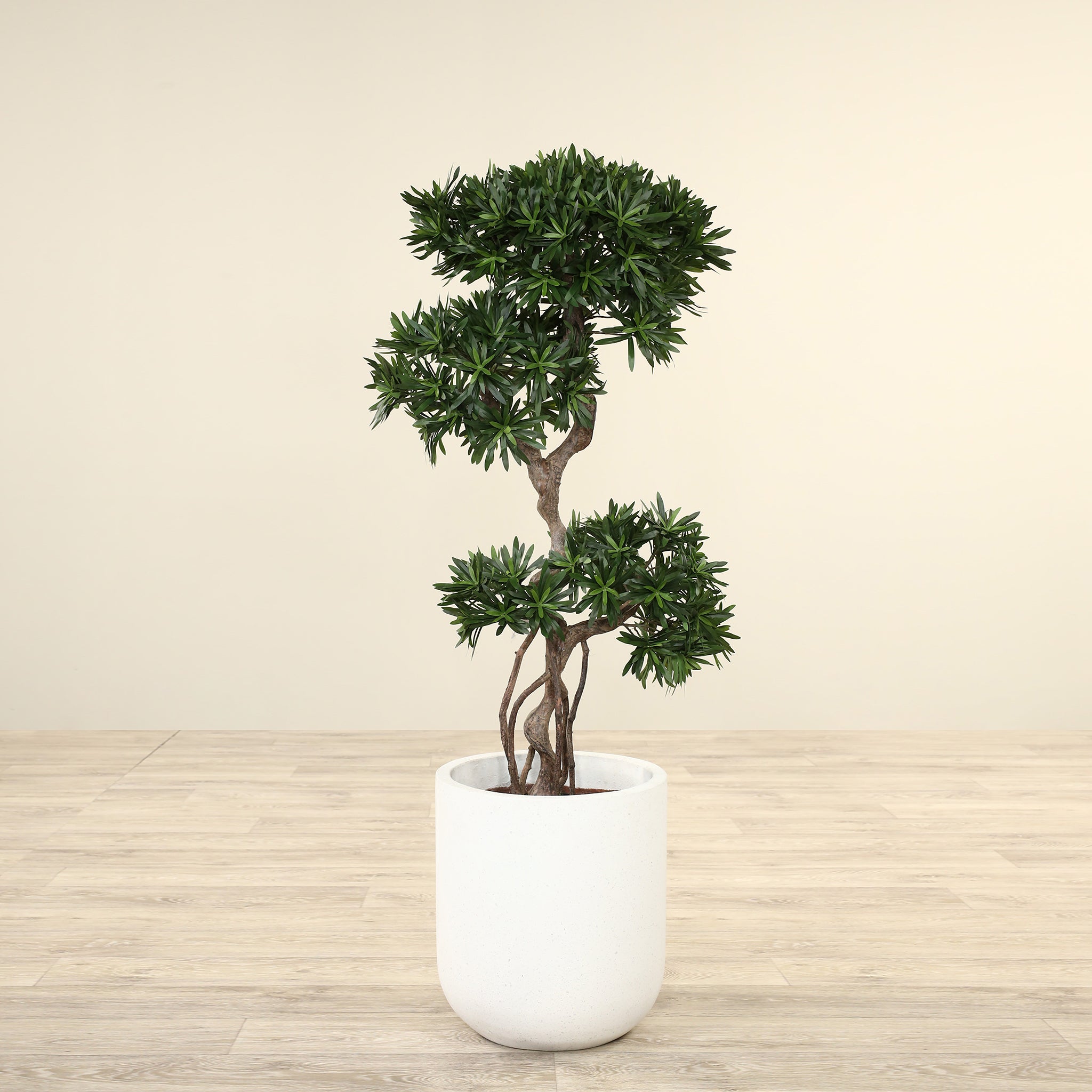 Luxury Artificial Podocarpus Trees