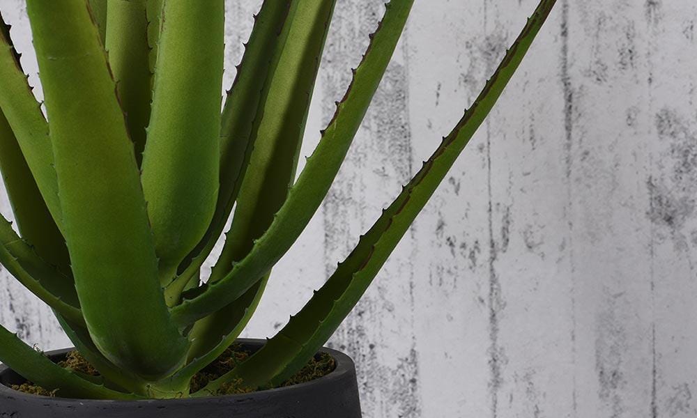 Luxury Artificial Aloe Plants