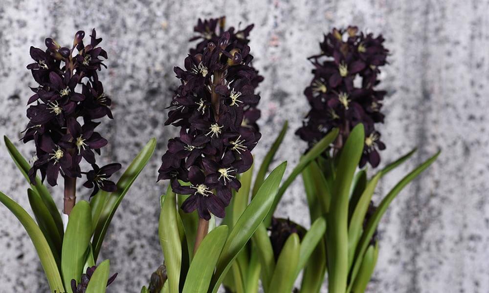 Luxury Artificial Hyacinth