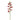Flowers-Orchid Stem-Bloomr