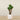 Trees-Artificial Agave Tree <br> 120cm-Bloomr