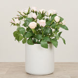 Artificial Cabbage Rose Plant