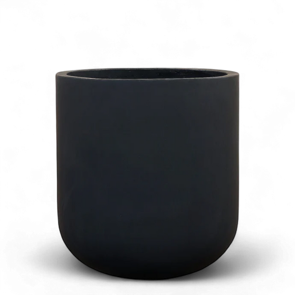 Black Concrete Pot - Large