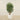 Trees-Artificial Aralia Tree 150cm-Bloomr