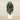 Trees-Artificial Finger Palm Tree <br> 180cm-Bloomr