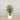 Trees-Artificial Ficus Deluxe Exotica Tree 120cm-Bloomr