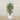 Trees-Artificial Ficus Deluxe Exotica Tree 150cm-Bloomr