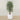 Trees-Artificial Ficus Deluxe Exotica Tree 180cm-Bloomr