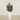 Trees-Artificial Fiddle Tree 120cm-Bloomr