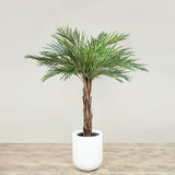 Artificial Phoenix Palm Tree <br> 150cm