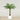 Trees-Artificial Phoenix Palm Tree 150cm-Bloomr