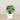 Trees-Artificial Philodendron Tree <br> 080cm-Bloomr