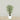 Trees-Artificial Mini Ficus Tree <br> 150cm-Bloomr