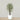 Trees-Artificial Mini Ficus Tree 180cm-Bloomr